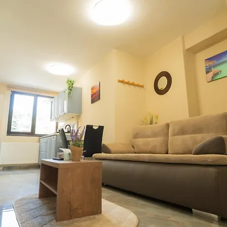 Apartment Ndl Cluj-Napoca